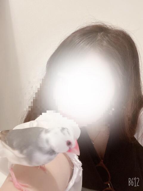 なつち 大高・大府市・東海市ちゃんこ（ぽっちゃりデリヘル）