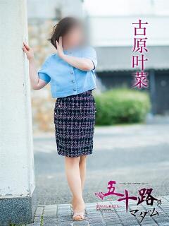 古原叶菜 五十路マダム愛されたい熟女たち 倉敷店（カサブランカグループ）（倉敷/デリヘル）