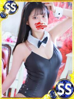 スミレ バニーコレクション新潟店（古町/ソープ）