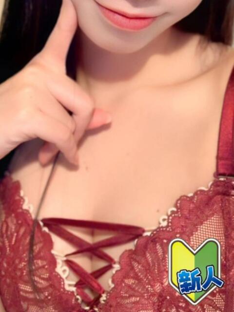 めい 新宿プチドール（ファッションヘルス）