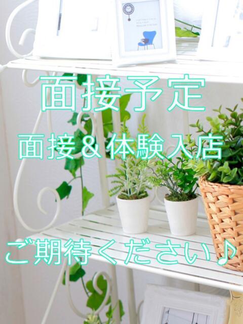 ちあ 大人の遊園地 川越店（デリヘル）