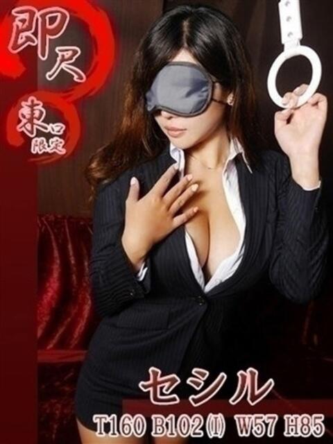 セシル 五反田発 痴漢電車or全裸入室(デリヘル)