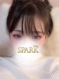 ねねか スパーク日本橋（日本橋/デリヘル）