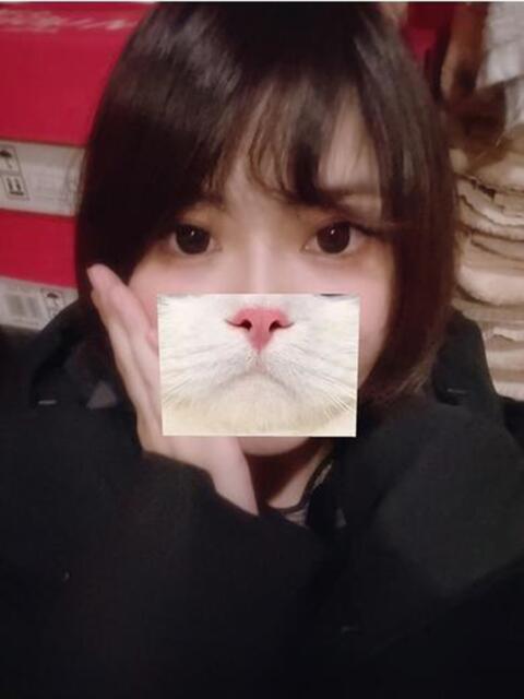 ののか ぷるるん小町日本橋店(ホテヘル)