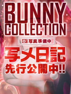 ナギ バニーコレクション新潟店（古町/ソープ）