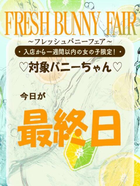 ツユリ バニーコレクション新潟店（ソープランド）