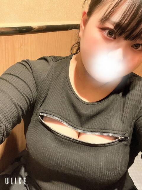 めろ ちゃんこ藤沢茅ヶ崎店（ぽっちゃりデリヘル）