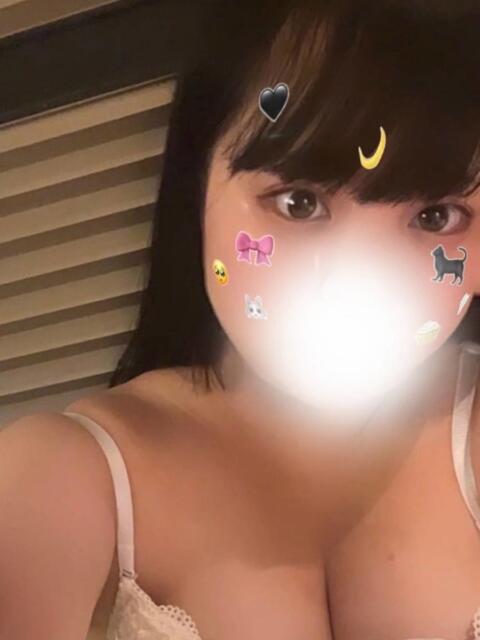 めろ ちゃんこ藤沢茅ヶ崎店（ぽっちゃりデリヘル）