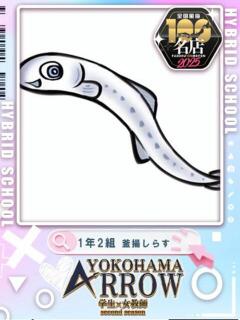 釜揚しらす アロー（日ノ出町/ソープ）