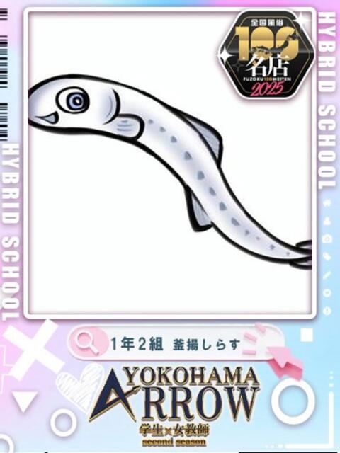 釜揚しらす アロー（ソープランド）