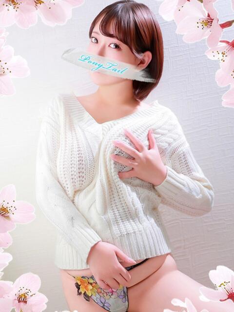 しいな【甘い果実はお好きですか】 ポニーテール和歌山店（ソープランド）