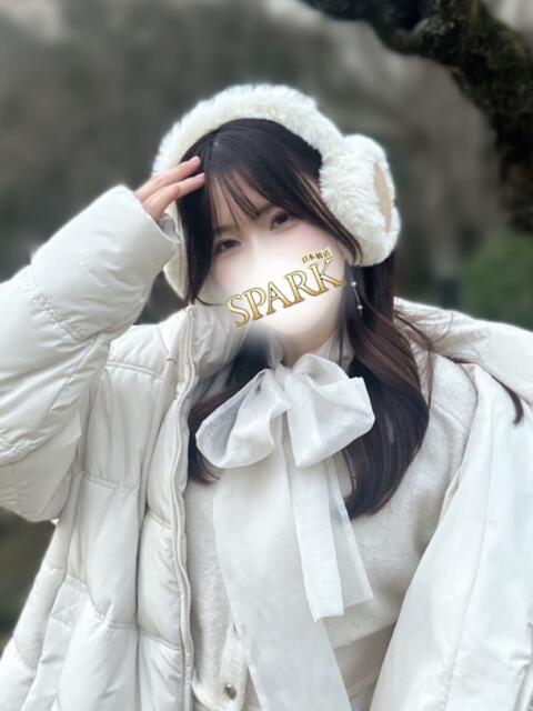 みなみ スパーク日本橋（ホテヘル＆デリヘル）