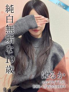 はるか 東京リップ 池袋店（池袋/デリヘル）