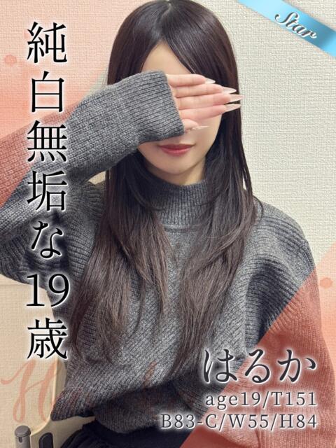 はるか 東京リップ 池袋店（美女・美少女専門ホテヘル ＆デリバリーヘルス）