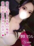 夢咲 セシル ギャルズネットワーク 姫路（姫路/デリヘル）