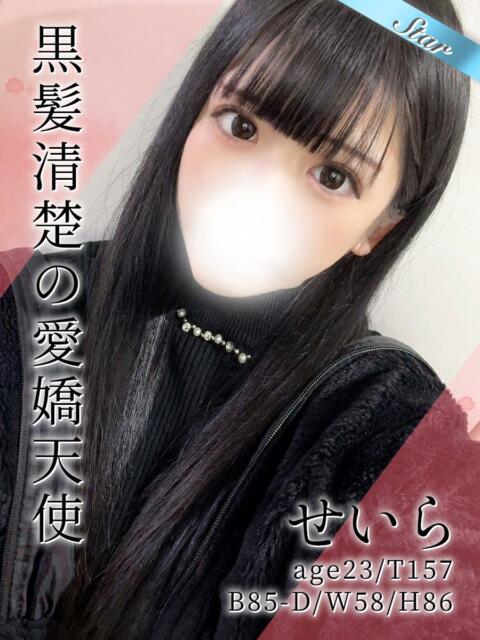 せいら 東京リップ 池袋店（美女・美少女専門ホテヘル ＆デリバリーヘルス）