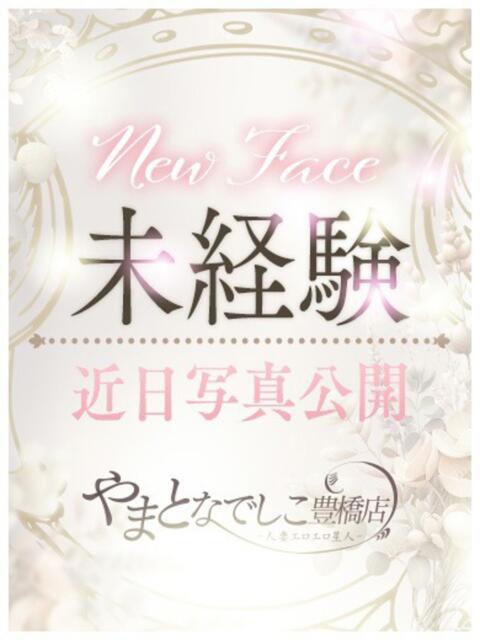 なゆ やまとなでしこ 豊橋店~人妻エロエロ星人~(人妻系デリヘル)