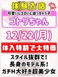 コトリ びしょぬれ新人秘書（府中/デリヘル）