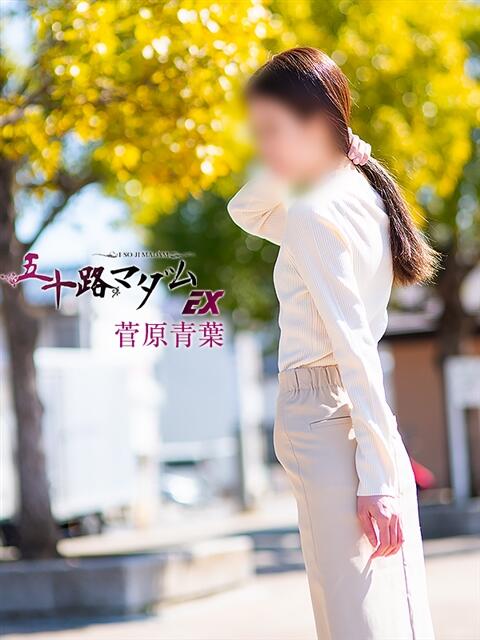 菅原青葉 五十路マダムエクスプレス船橋店(カサブランカグループ)（熟女デリヘル）