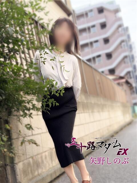 矢野しのぶ 五十路マダムエクスプレス船橋店(カサブランカグループ)（熟女デリヘル）