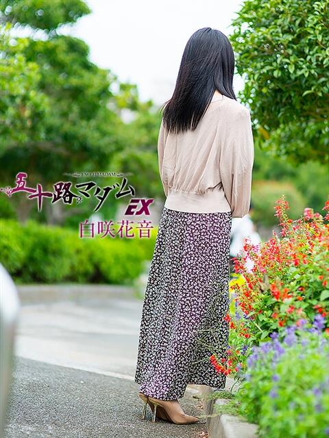 白咲花音 五十路マダムエクスプレス船橋店(カサブランカグループ)（熟女デリヘル）