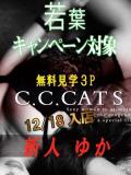 ゆか C.C.CATS（渋谷/デリヘル）