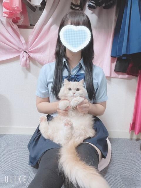 マヤノ Cawaiiハイ！スクールリターンズ（派遣型サロン）