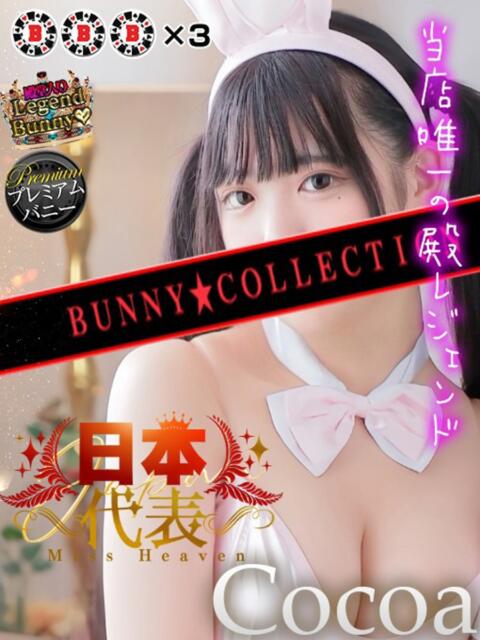 ココア【トキメキロリ巨乳】 バニーコレクション 中洲店（ソープランド）