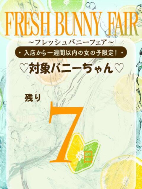 マコ バニーコレクション新潟店（ソープランド）