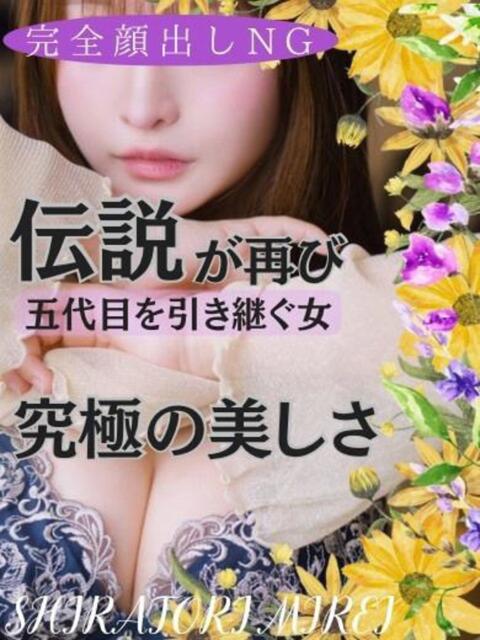 五代目白鳥美玲 神戸FOXY（デリヘル）