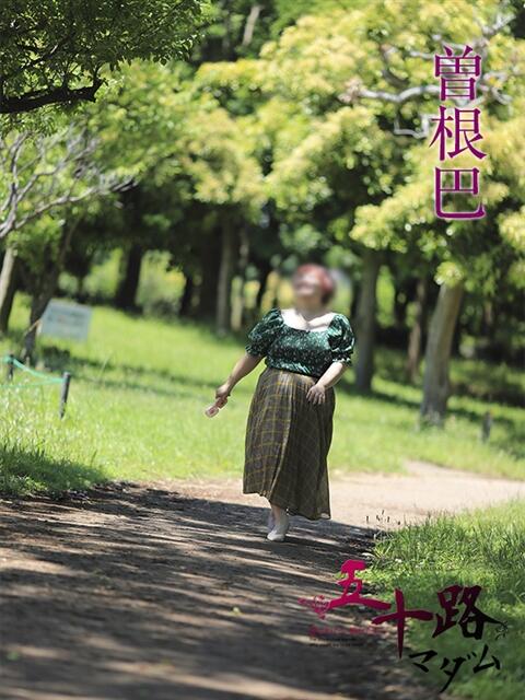 曽根巴 五十路マダムエクスプレス船橋店(カサブランカグループ)（熟女デリヘル）
