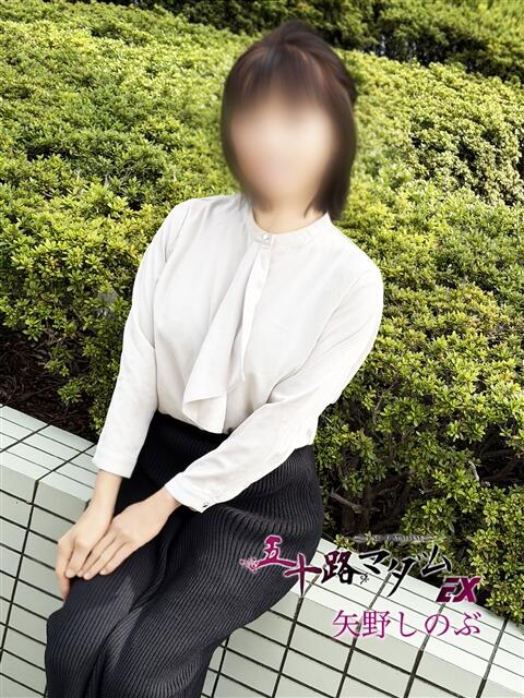 矢野しのぶ 五十路マダムエクスプレス船橋店(カサブランカグループ)（熟女デリヘル）