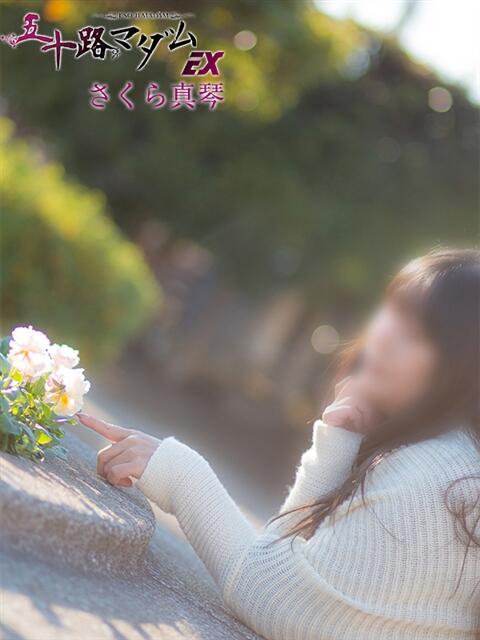 さくら真琴 五十路マダムエクスプレス船橋店(カサブランカグループ)（熟女デリヘル）