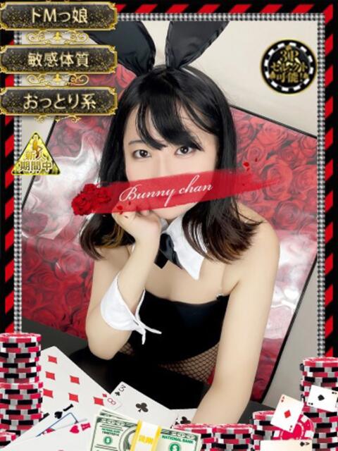 ユナ【癒し系変態バニー】 ドMなバニーちゃん和歌山店（ソープランド）