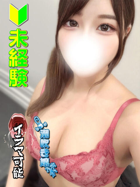 仁科ひなの 全裸にされた女たちor欲しがり痴漢電車（ホテヘル）