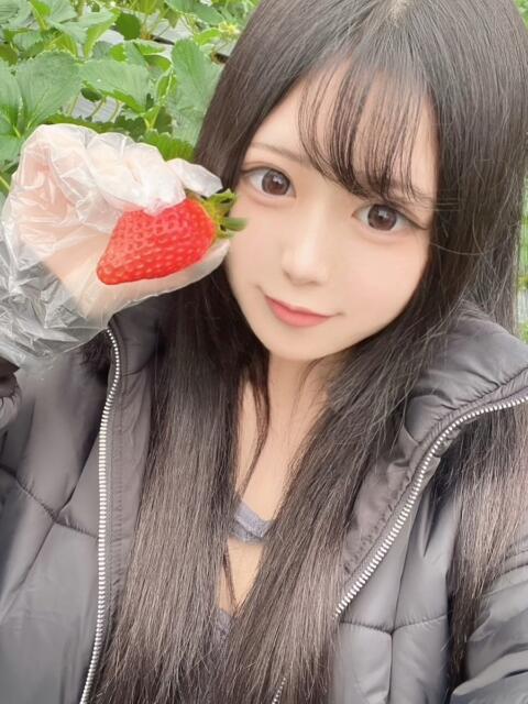 おと 姫コレクション（デリヘル）