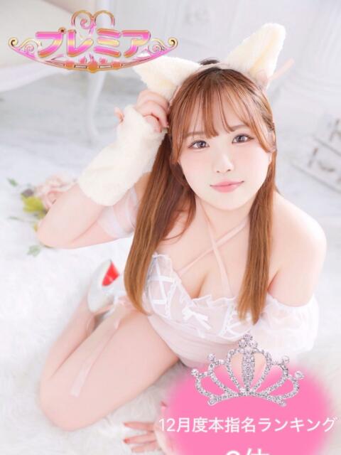 ありあ ぽっちゃり巨乳素人専門店ぷにめろ池袋店（ぽっちゃり系デリヘル）