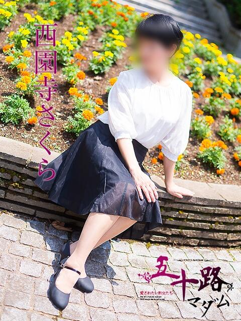 西園寺さくら 五十路マダム宇都宮店(カサブランカグループ)（熟女デリヘル）