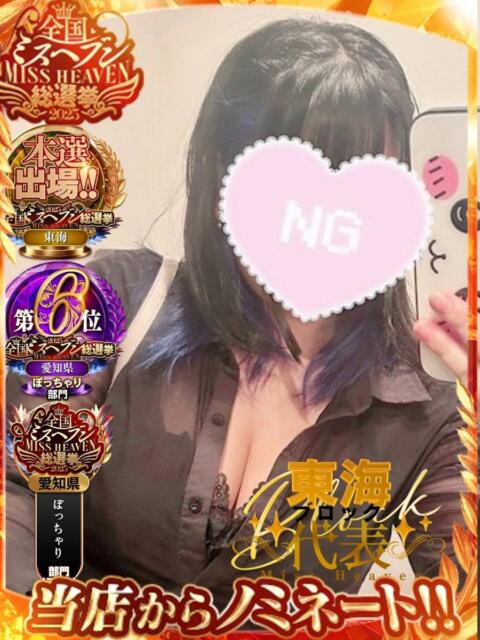 りる☆ 豊橋豊川ちゃんこ（ぽっちゃり専門デリヘル）