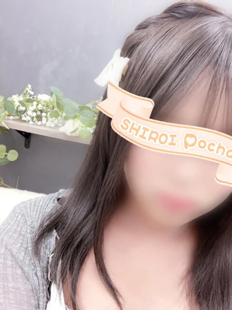 きほ 白いぽっちゃりさん仙台店（ぽっちゃり専門デリヘル）