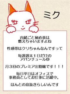 みく マネキン 名駅店（名古屋/ヘルス）