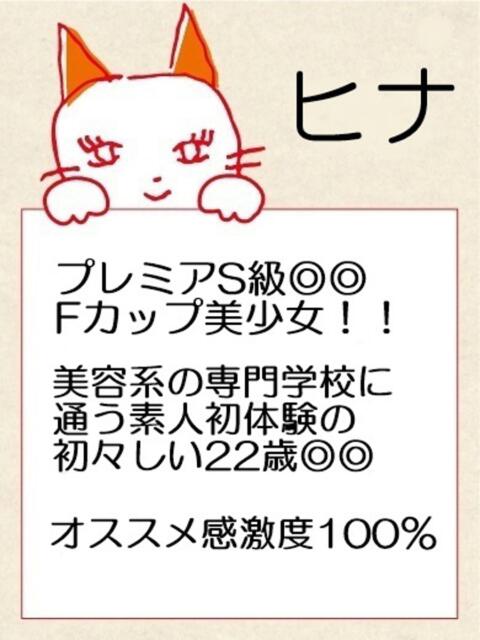 ひな マネキン 名駅店（ファッションヘルス）