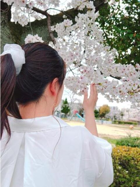 一ノ瀬　かえで 熟女パラダイス岐阜羽島店（カサブランカグループ）（熟女デリヘル）