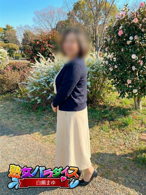 白瀬まゆ 熟女パラダイス岐阜羽島店（カサブランカグループ）（熟女デリヘル）