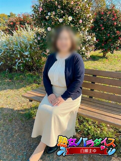 白瀬まゆ 熟女パラダイス岐阜羽島店（カサブランカグループ）（熟女デリヘル）