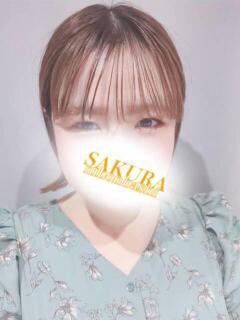 ひまわり 奥様さくら日本橋店（日本橋/ホテヘル）