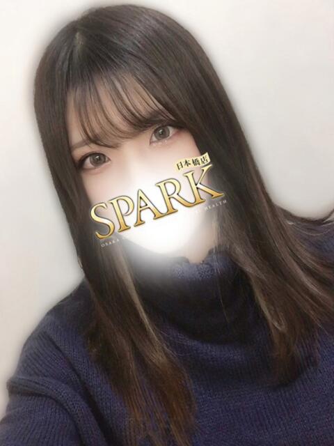 ななせ スパーク日本橋（ホテヘル＆デリヘル）