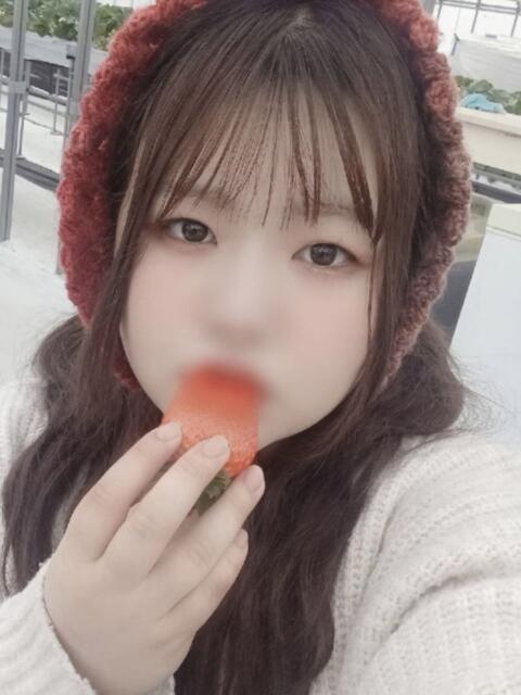 さくら 京都祇園・南インターちゃんこ（ぽっちゃりデリヘル）