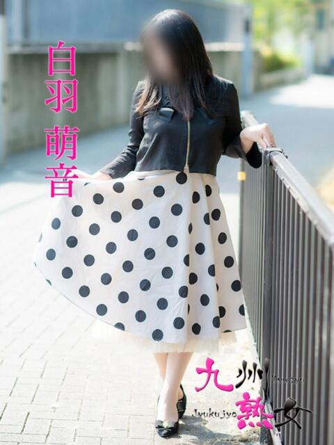白羽萌音(しろはもね) 九州熟女　八代店（熟女デリヘル）