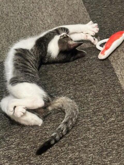 マドギワ スッキリ商事（OL系デリヘル）